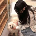 扎心英雄内购破解版下载